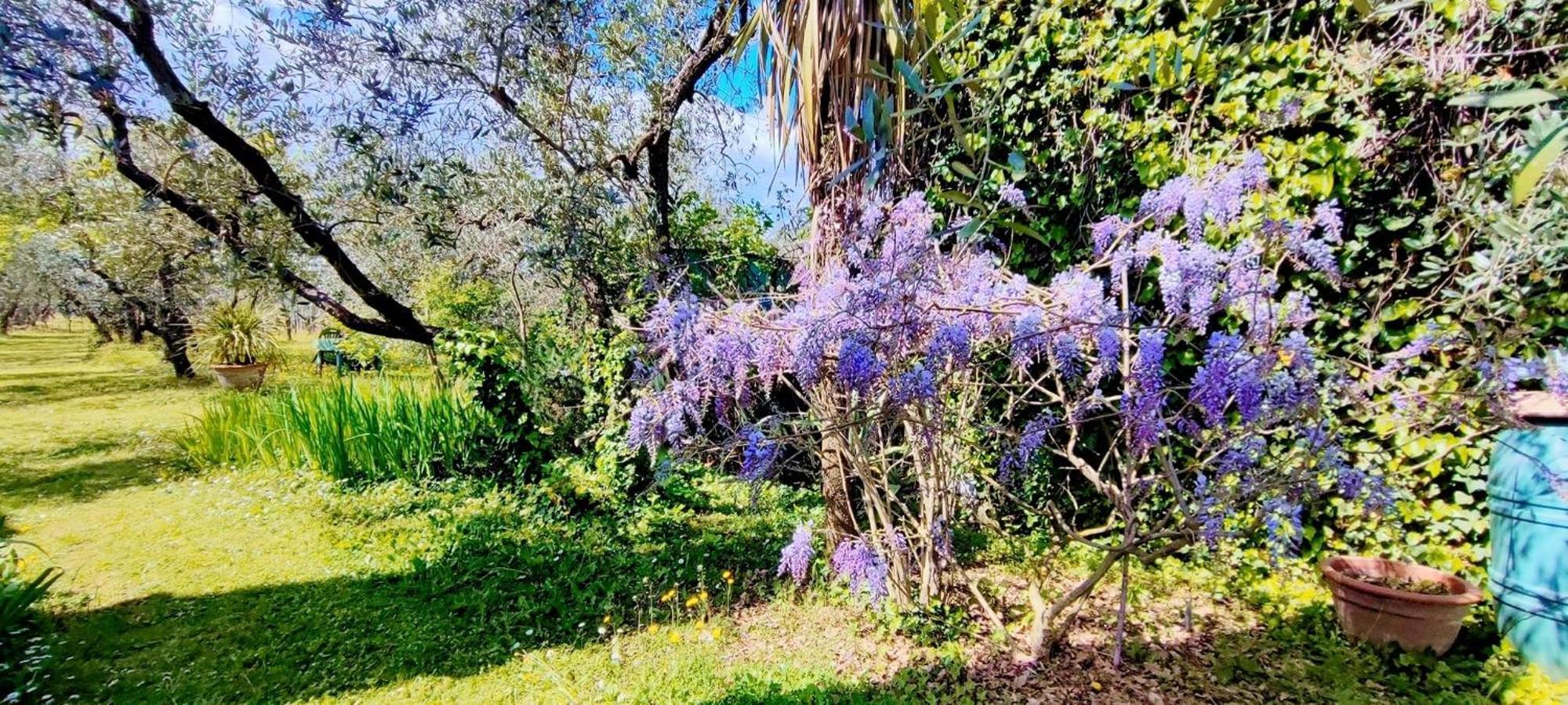 Villa La Casa Dei Nonni à Larciano Extérieur photo